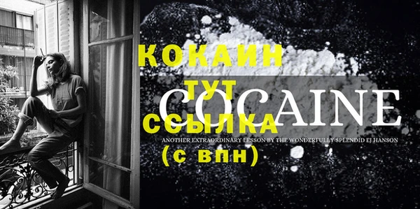 дживик Кострома