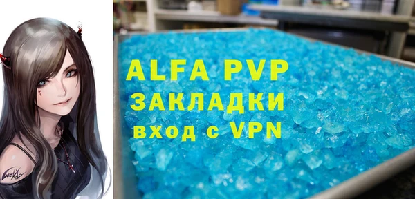 дживик Кострома