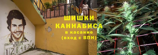 дживик Кострома